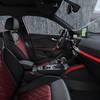 Audi SQ2 2.0 TFSI quattro S tronic