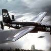 Grumman AF Guardian