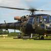 Westland Scout