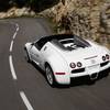 Bugatti Veyron Targa Grand Sport 8.0 W16 AWD DSG
