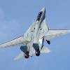 Grumman F-14 Tomcat