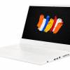 Acer ConceptD CN315-72P-74M4 (NX.C5ZEF.003)