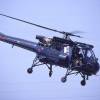 Westland Wasp