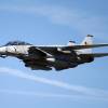 Grumman F-14 Tomcat
