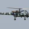 Westland Wasp