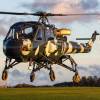 Westland Wasp