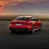 Audi RS 7 Sportback (C8) 4.0 TFSI V8 quattro tiptronic MHEV