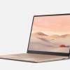 Microsoft Surface Laptop Surface Laptop Go (21L-00037)