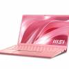 MSI Prestige 14 A11SCX-219IT (PRESTIGE 14 A11SCX-219IT)