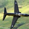 BAE Hawk