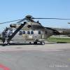 Eurocopter Cougar