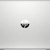 HP ProBook 445 G7 (17T34ES)