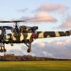 Westland Wasp