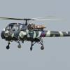 Westland Wasp