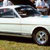 Ford Shelby I GT 350H 4.7 V8 Automatic