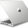 HP ProBook 455 G7 (175R0EA)