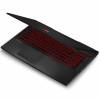 MSI Gaming GL75 9SD-219FR (9S7-17E512-219)