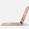 Microsoft Surface Laptop Surface Laptop Go (21M-00041)