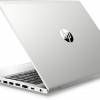 HP ProBook 455 G7 (2D237EA)