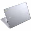 Acer Chromebook CB3-431-199D (NX.GC2EK.010)