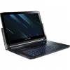 Acer Predator PT917-71-790R (NH.Q4VEK.001)