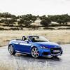 Audi TT RS Roadster (8S) 2.5 TFSI quattro S tronic